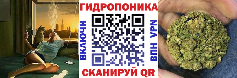 Где можно купить наркотики Отрадный ГАШИШ  A PVP  Мефедрон  МАРИХУАНА 