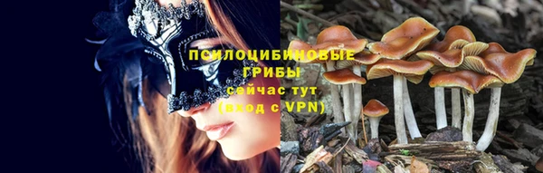прущие грибы Пересвет
