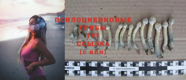 дживик Абаза
