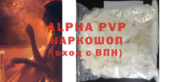 прущие грибы Пересвет