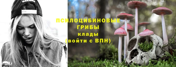 2c-b Абинск