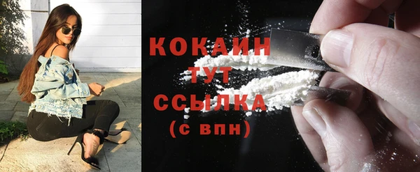 дживик Абаза
