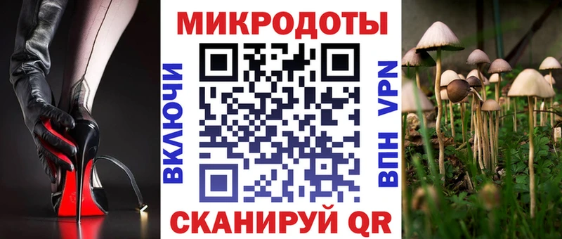 гидра как зайти Отрадный Псилоцибиновые грибы мицелий