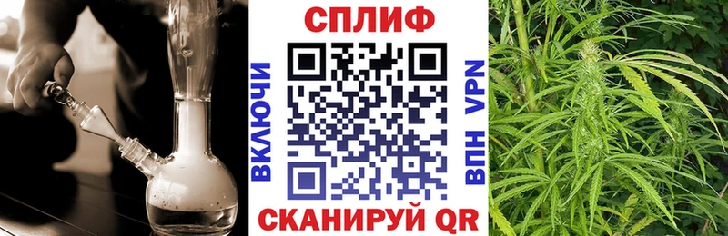 Бошки марихуана Bruce Banner Отрадный